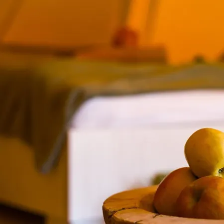 Agroping Korosajt Muhely *