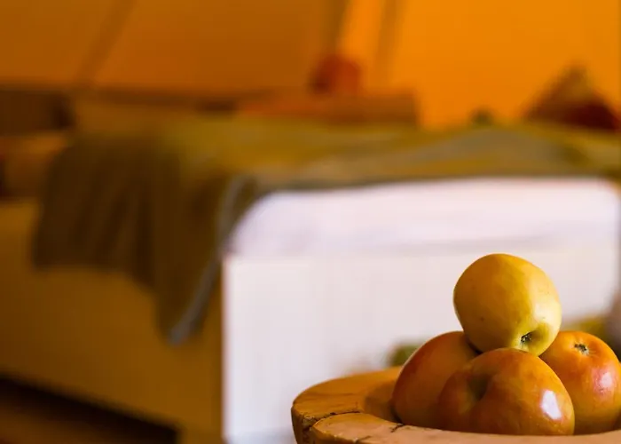 Agroping Korosajt Muhely *