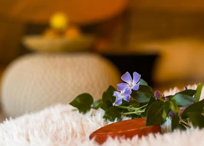 Agroping Korosajt Muhely Nemesbükk